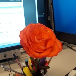 Meet your Posher, Vera